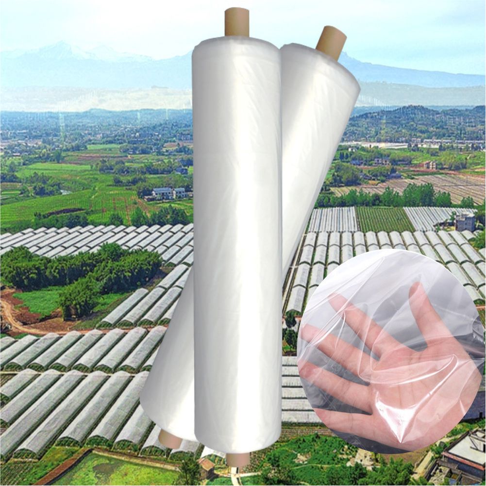 Agriculture Farming Vegetables - Agrarische boerderij kas plastic film tuin