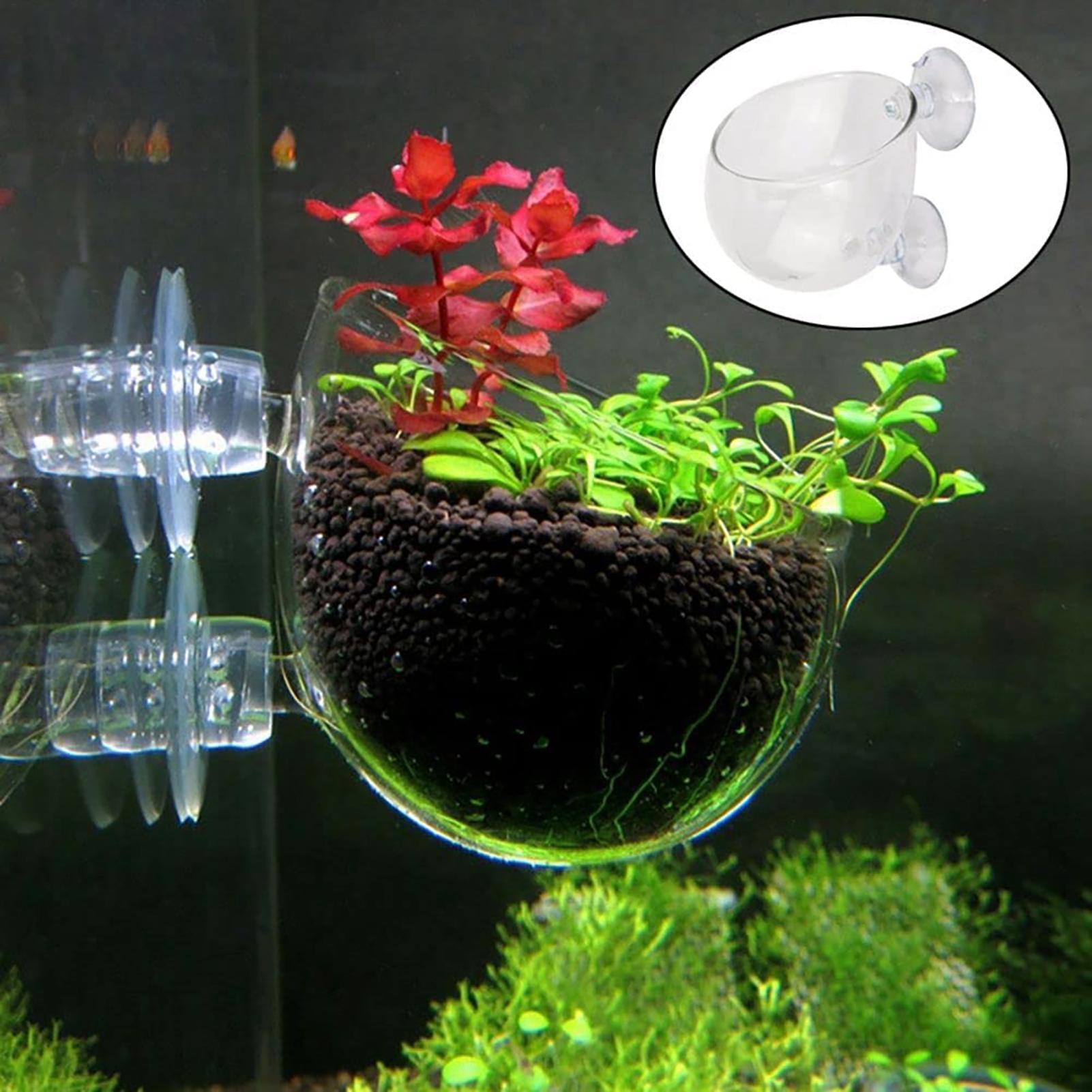 Plant Growth Regulator - Aquatische plantenpot Helder acryl aquariumplanter met