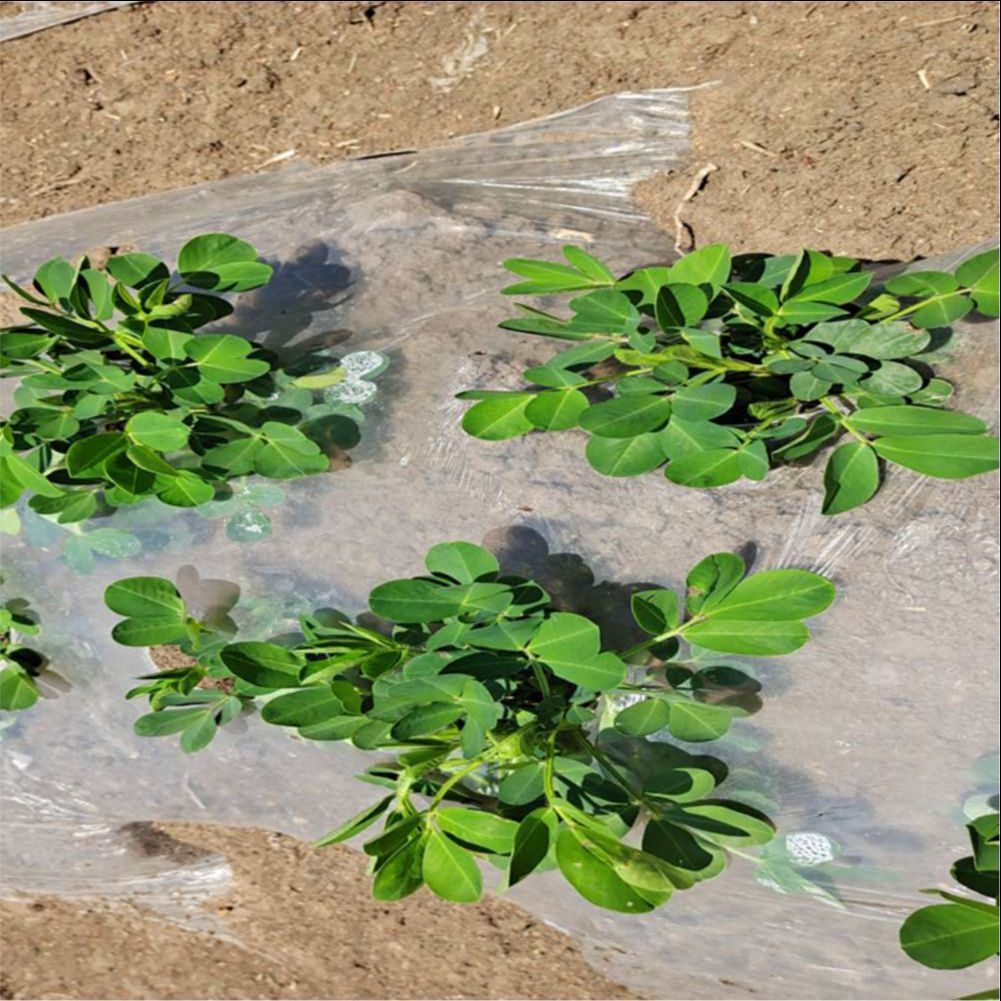 Agrarische boerderij kas plast - Agriculture Farming Vegetables recensie en prijs