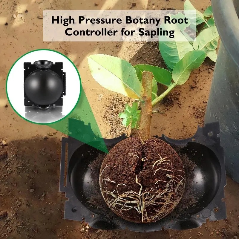 5/30 Stuks Plantenwortelbal En - Plant Growth Regulator recensie en prijs