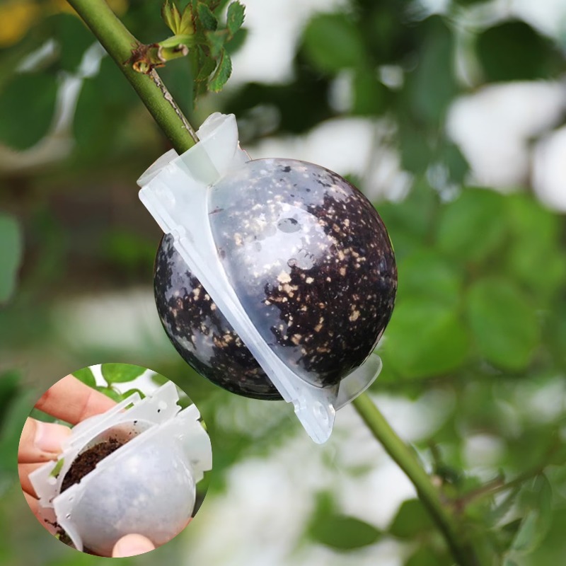 5/30 Stuks Plantenwortelbal En - Plant Growth Regulator recensie en prijs