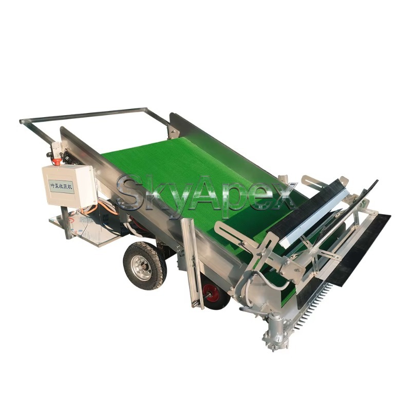 Landbouwmachines Kasbladgroent - Agriculture Farming Vegetables recensie en prijs