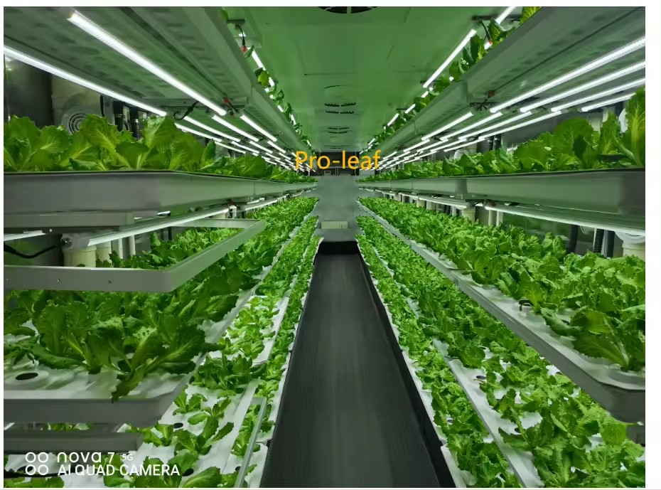 f Kas Landbouwuitrusting Groei - Agriculture Farming Vegetables recensie en prijs