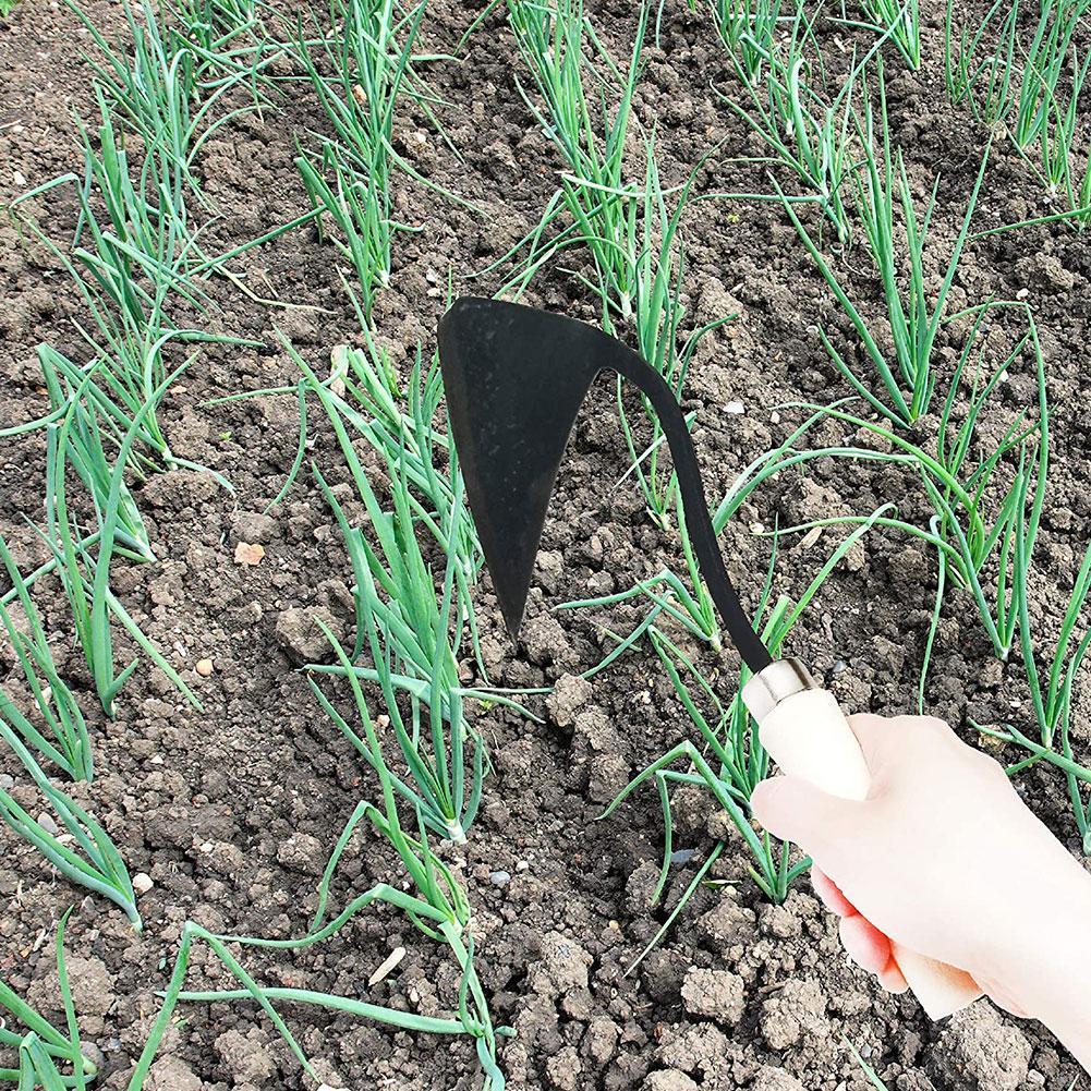 Boerderijgereedschap Schoffels - Agriculture Farming Vegetables recensie en prijs