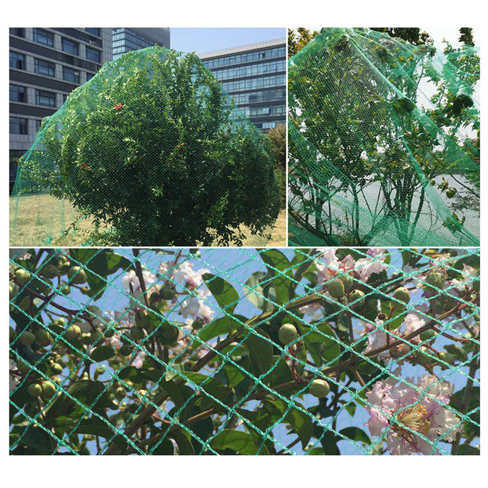 15M Anti-vogelnet Groen Fruit  - Agriculture Farming Vegetables recensie en prijs