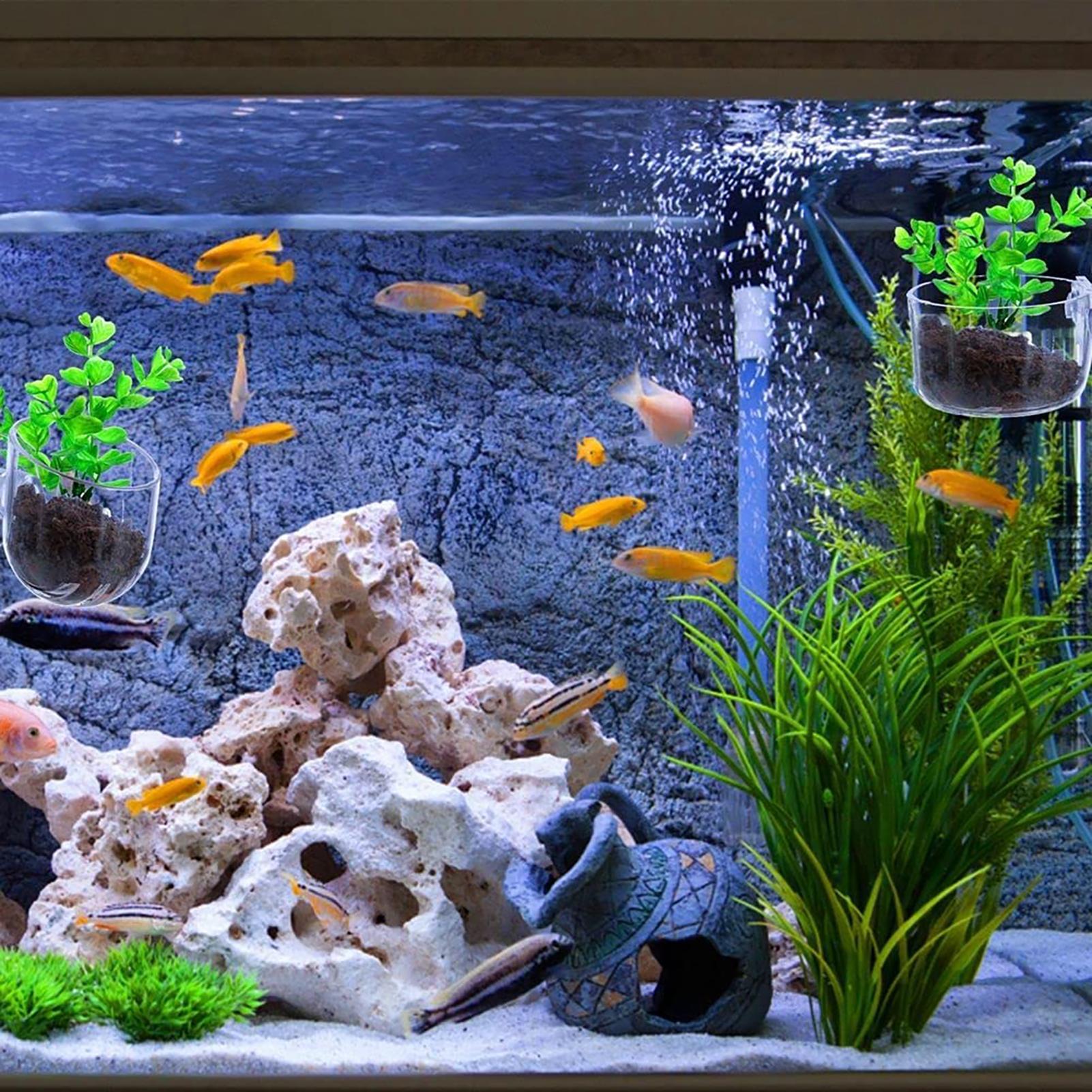 Aquatische plantenpot Helder a - Plant Growth Regulator recensie en prijs