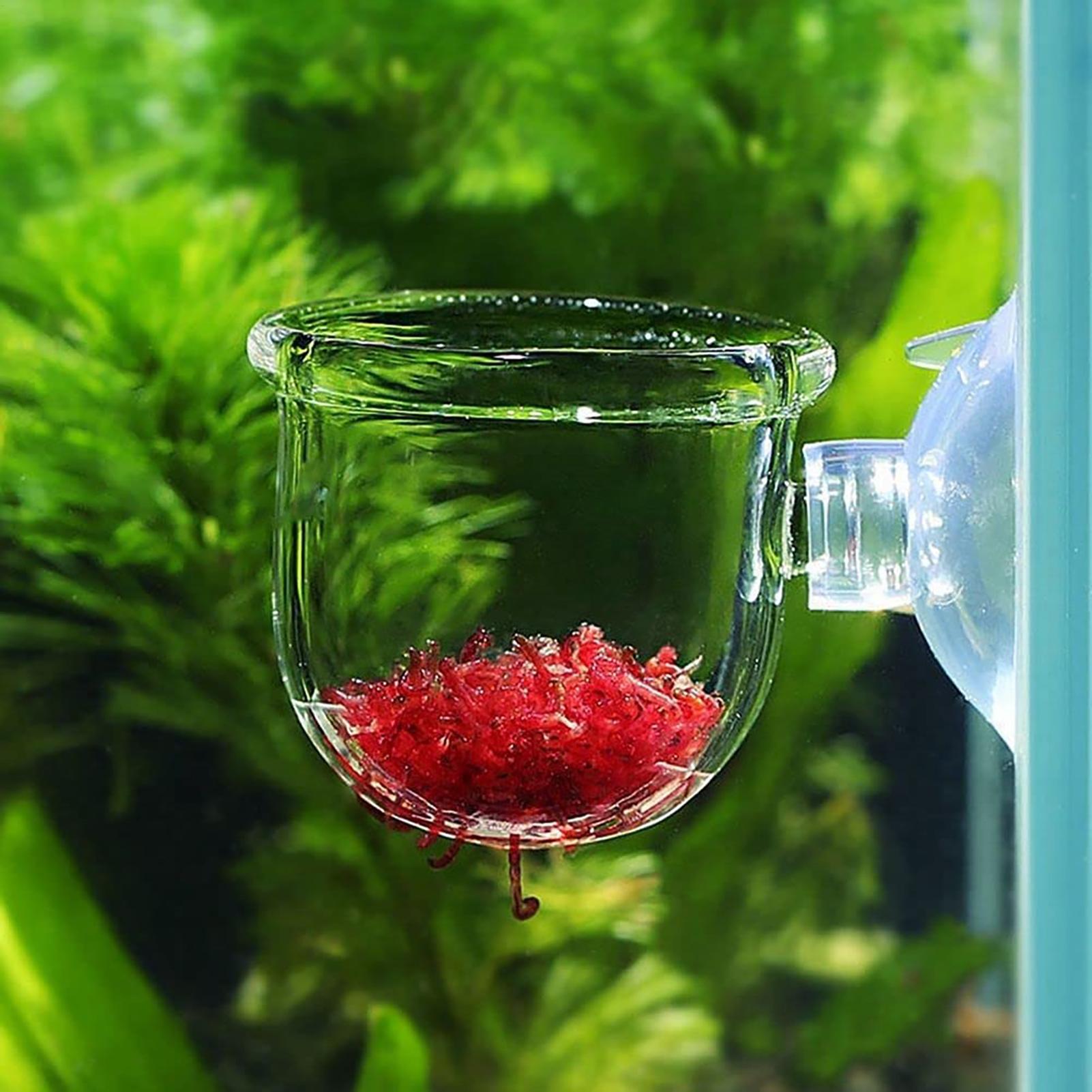 Aquatische plantenpot Helder a - Plant Growth Regulator recensie en prijs