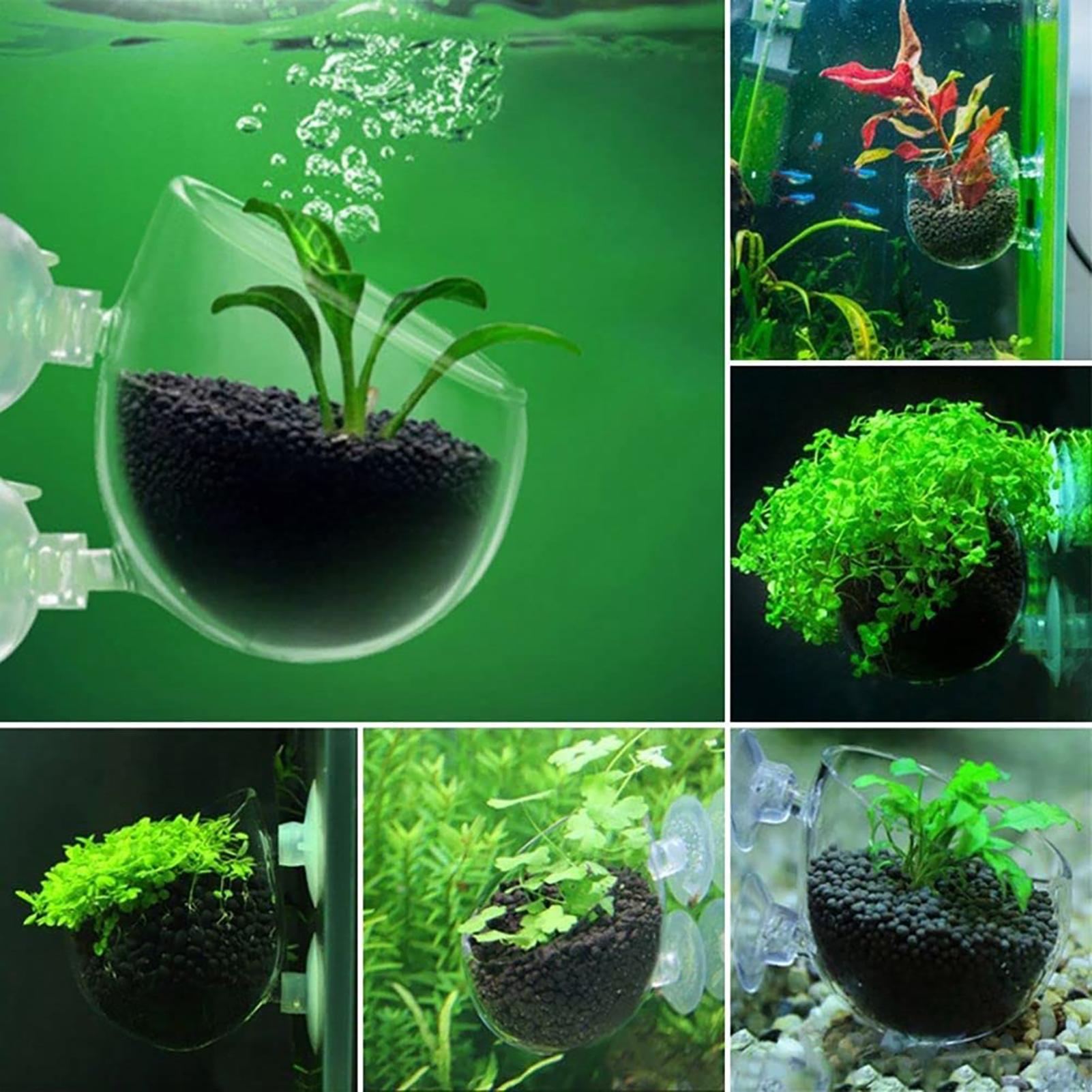 Aquatische plantenpot Acryl Aq - Plant Growth Regulator recensie en prijs