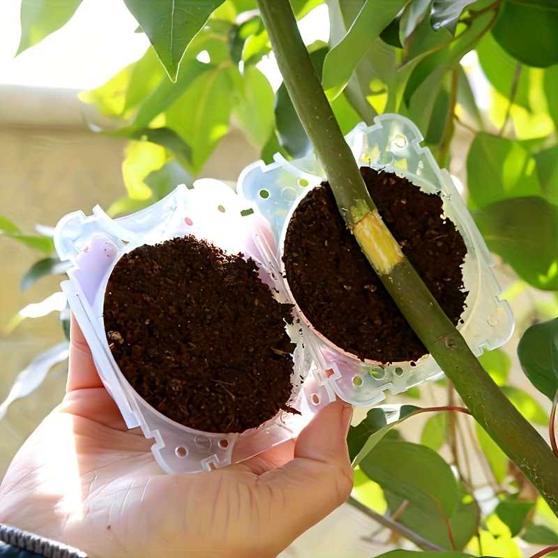 10-delige plantenvermeerdering - Plant Growth Regulator recensie en prijs