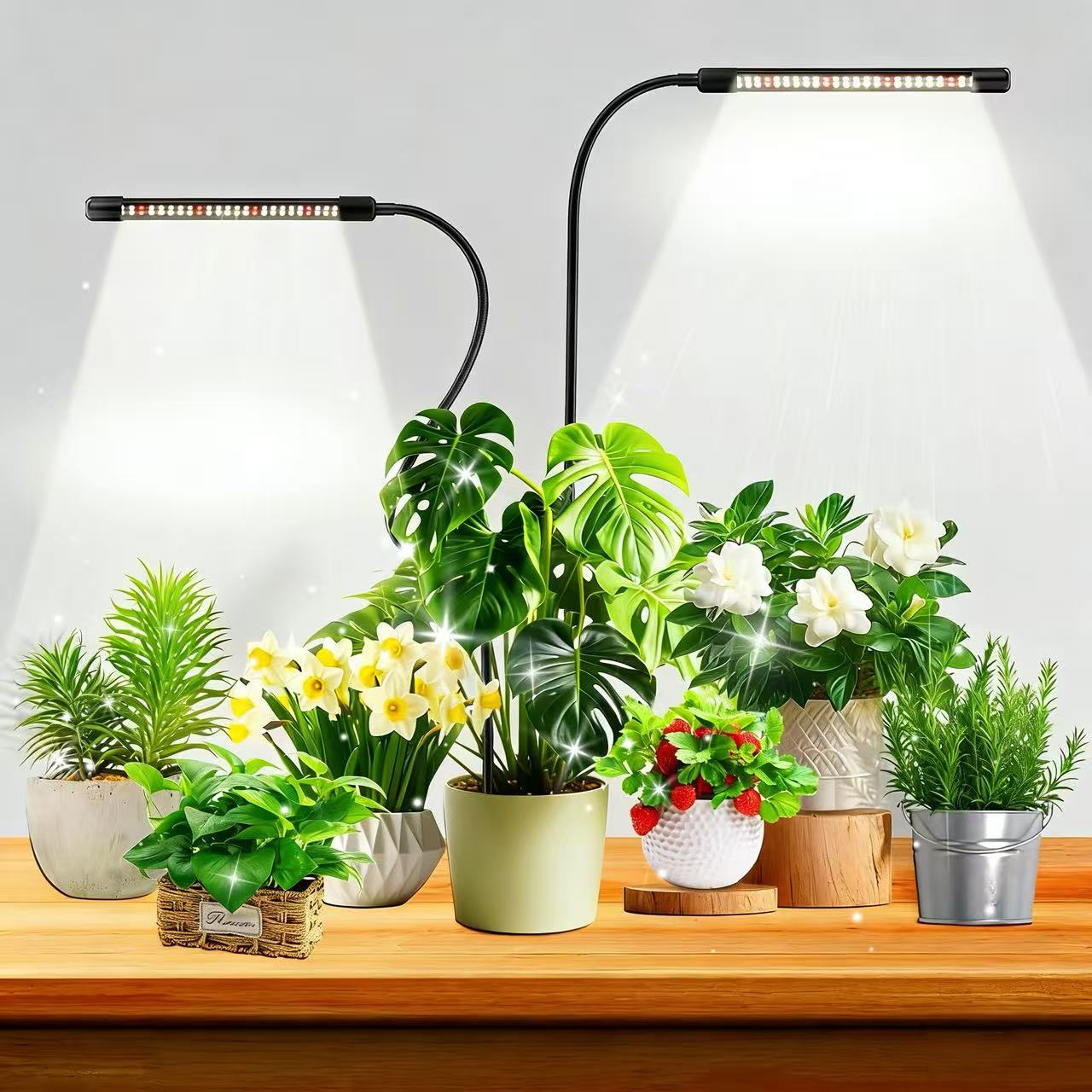 48LEDs kweeklampen voor binnen - Plant Growth Regulator recensie en prijs