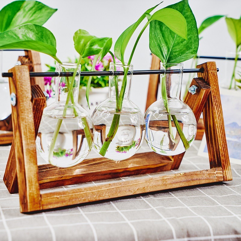 Tafelblad Glazen Planter Voort - Plant Growth Regulator recensie en prijs