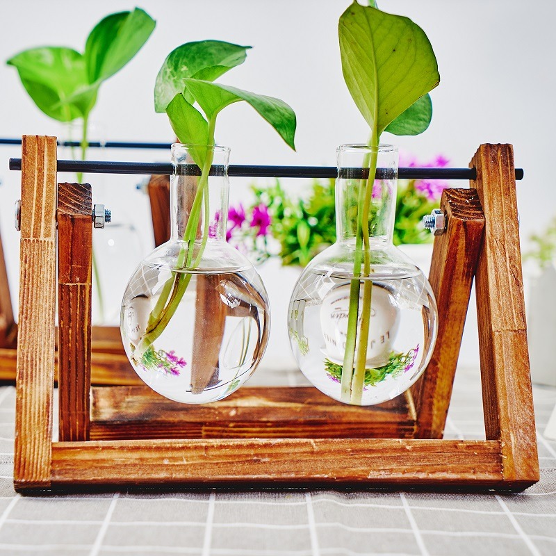 Tafelblad Glazen Planter Voort - Plant Growth Regulator recensie en prijs